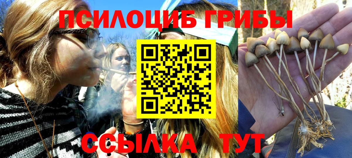 Егорьевск  Псилоцибиновые грибы MAGIC MUSHROOMS  Вход с VPN 