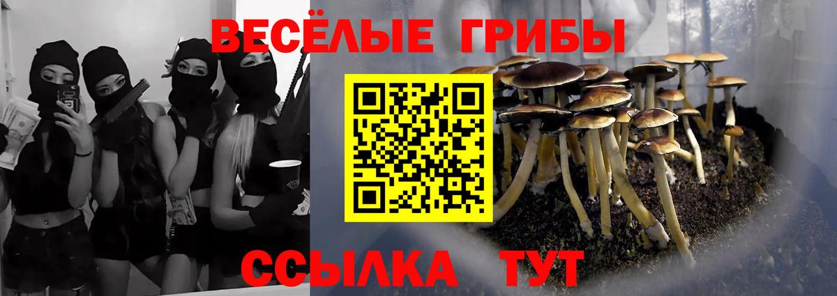 Егорьевск  ГАШ  НБОМе  Экстази  Кетамин  Кокаин  Метадон  Меф   Вход с VPN  Конопля 